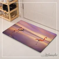 فلامینگو های رنگی