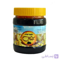 شیره توت ۵۰۰ گرمی