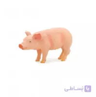 بچه خوک 387055 – حیوانات موجو
