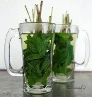 عرق نعناع