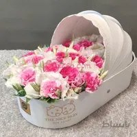 گل نوزاد آسو