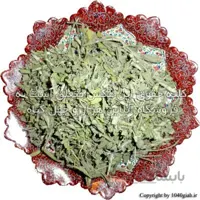 مریم گلی خشک شده