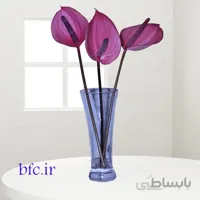 گل آنتریم