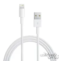 Apple MD818ZM/A Lightning Cable 1m