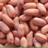 بادام زمینی خام آستانه درجه یک اعلا 500 گرمی