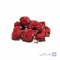 گلنار فارسی