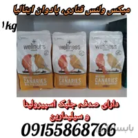 خوراک میکس ولنس قناری ا wellness,mix for canaries