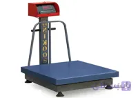 باسکول 750 کیلویی