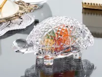 شکلات خوری مادام کوکو مدل Tortue