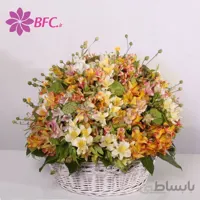 سبد گل آلسترومریا