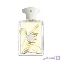 عطر ادکلن آمواج براکن مردانه | Amouage Bracken Man