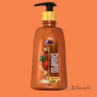 شامپو عصاره قارچ گانودرما روزانه دکتر بیز DR.BIZ ا Ganoderma mushroom extract shampoo daily Dr. Biz