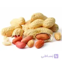 بذر بادام زمینی