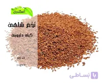 بذر شاهی