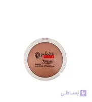 رژگونه پارس پلادیس مدل Promise شماره ۱۰۶