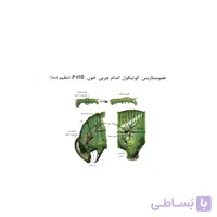 کتاب فیزیولوژی حشرات ( هموستازیس، کوتیکول، اندام چربی، خون، P450، تنظیم دما)