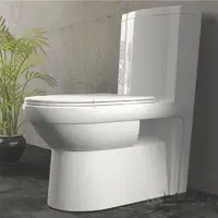 توالت فرنگی گلسار مدل کلین