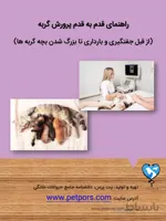 راهنمای پرورش گربه
