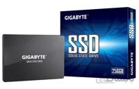 حافظه اس اس دی گیگابایت مدل GP-GSTF31256GTND ظرفیت 256 گیگابایت ا GIGABYTE GP-GSTF31256GTND 256GB SATA 6.0 SSD
