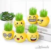 گلدان ایموجی بسته 6 عددی