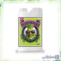 کود ادونس Big Bud