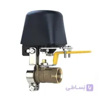 بازوی شیر برقی