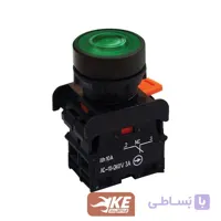 شستی استارت چراغدار رعد
