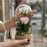 گل رز – مدل شیشه