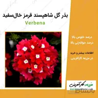بذر گل شاهپسند قرمز خال سفید