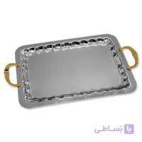 سینی استیل سنسی مدل TS2-XM18 (متوسط)