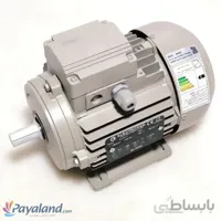 الکتروموتور 370 وات (0.5 اسب) 2800 دور الکتروژن