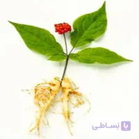 بذر جینسینگ کره ای