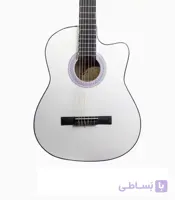 گیتار آراکس جی1