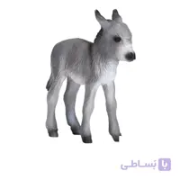 کره الاغ 387398 – حیوانات موجو