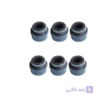 لاستیک ساق سوپاپ 405