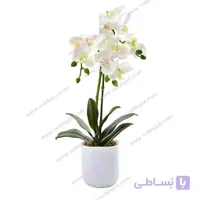 گل ارکیده دو شاخه ORK03