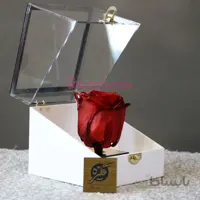 رز ماندگار فرید