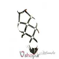 بادی دیسکویی