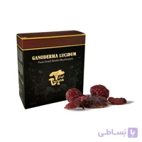 قارچ گانودرما سالم – بسته ۱۰۰ گرمی