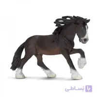 اسب شایر سیاه اشلایش 13734