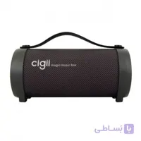 اسپیکر بلوتوث سی جی مدل S11F ا Cigii S11F Bluetooth Speaker