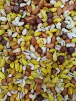 آجیل شور 5مغز 1000گرم