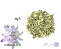 گیاه گل ساعتی
