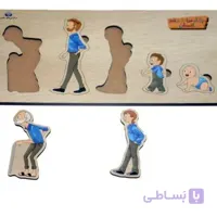 پازل مراحل رشد انسان
