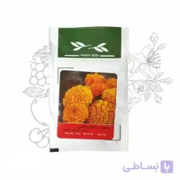 بذر خانگی گل جعفری پاکوتاه نارنجی