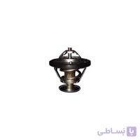 ترموستات راین V5