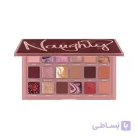 پالت سايه naughty nude هدی بیوتی