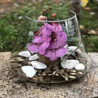 شیشه گل