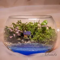 تراریوم دریاچه