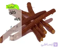 ریشه گیاه کلن